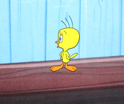 Tweety bird gatto capodanno - bird,